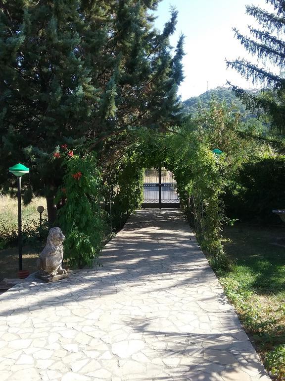 برينديزي دي مونتانيا B&B Villa Damiani المظهر الخارجي الصورة