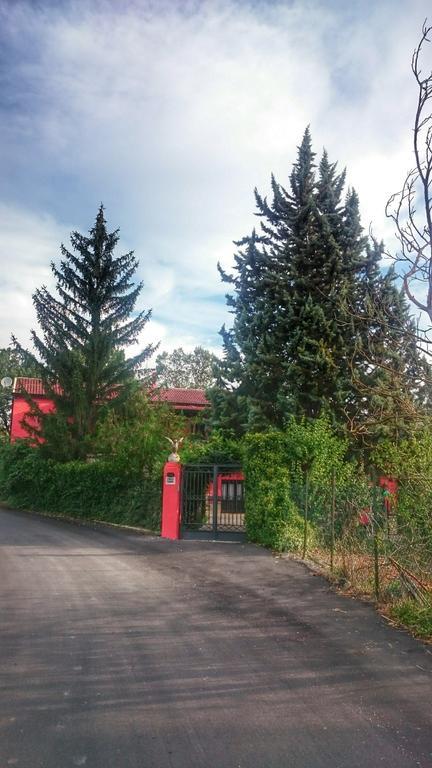 برينديزي دي مونتانيا B&B Villa Damiani المظهر الخارجي الصورة